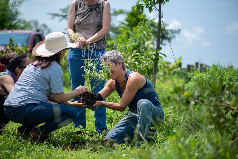 Voluntarias sembrando un arbusto juntas y sonriendo